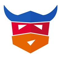 ngVikings logo